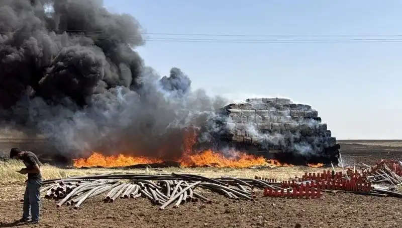 Mardin’deki Anız Yangınları, Tarımsal Ekosistemi Tehdit Ediyor
