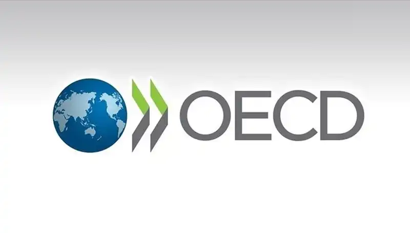OECD, Türkiye'nin Ekonomik Büyüme Tahminini Yeniden Güncelledi: İşte Yeni Rakamlar!