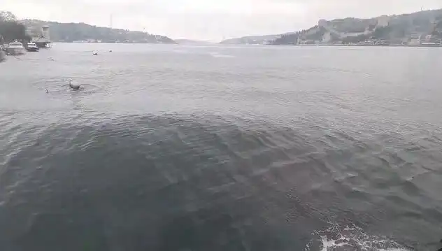 İstanbul Boğazı'nda Dalgalarda Yükseliş: Denizdeki Bu Olayın Ardındaki Sebepler