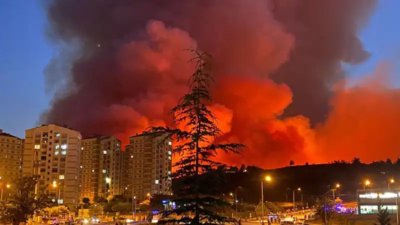 Bursa'da Yangınlar Alev Alev Şehri Kuşatıyor: Son Durum Nedir?