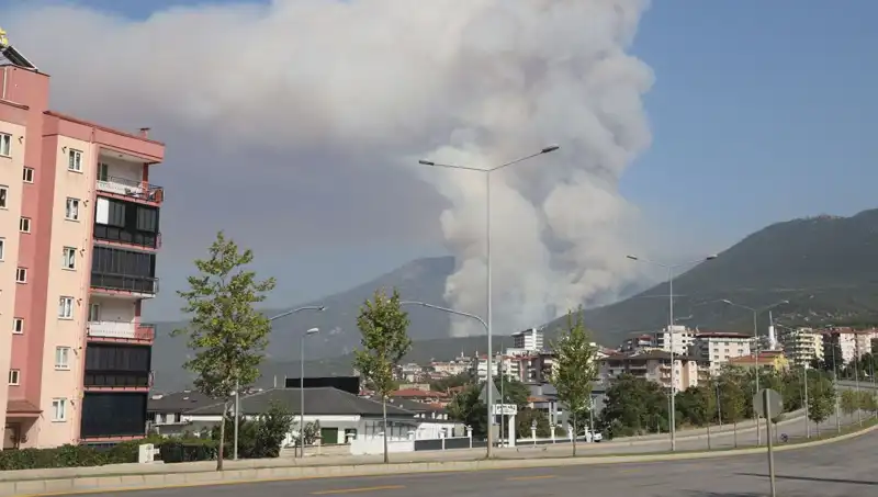 Denizli'de Orman Yangını Patlak Verdi: Yangının Arkasındaki Şüpheli Gözaltında