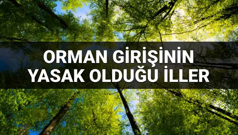 2025'te Orman Girişine Yasaklanan İller: Hangi Bölgeler Etkilenecek?