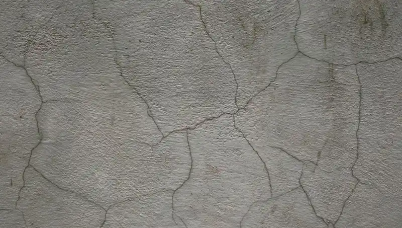 Geliştirilen Yenilikçi Canlı Beton Çatlakları Kendi Kendine Onarıyor