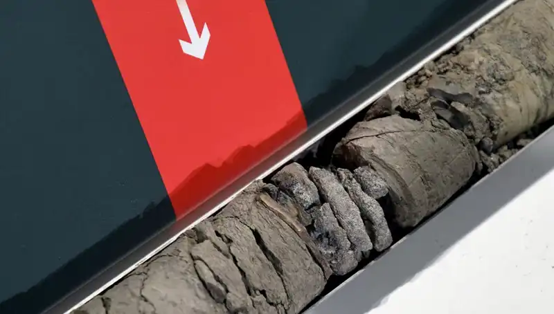 Dinozor Fosili Müze Otoparkında Keşfedildi: Arkeolojik Buluntunun Ayrıntıları