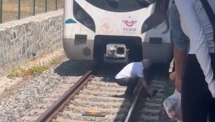 Raylardaki Kediyi Fark Eden Makinist, Marmaray Seferini Durdurdu
