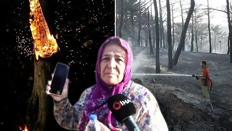 Çanakkale Orman Yangınlarında Kontrol Sağlandı: Kayıplar ve Tedbirler Gün Yüzüne Çıktı