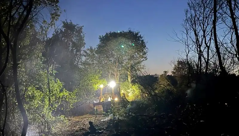 Edirne'deki Orman Yangını Kontrol Altına Alındı: Yangının Sebepleri Neler?