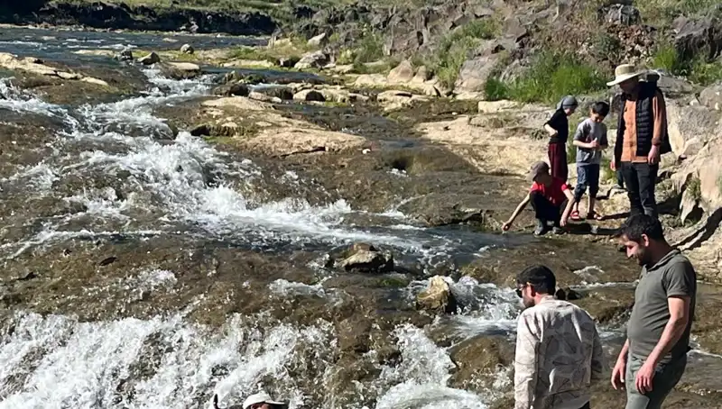 İnci Kefalinin Göç Yolu: Doğa Harikası Yolculuğa Şahit Olun