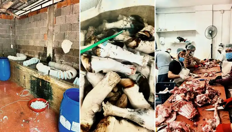 Adana'da Yüzlerce Kilo Kaçak Paça Ele Geçirildi! Sağlık Tehdidi ve Pazar Değeri
