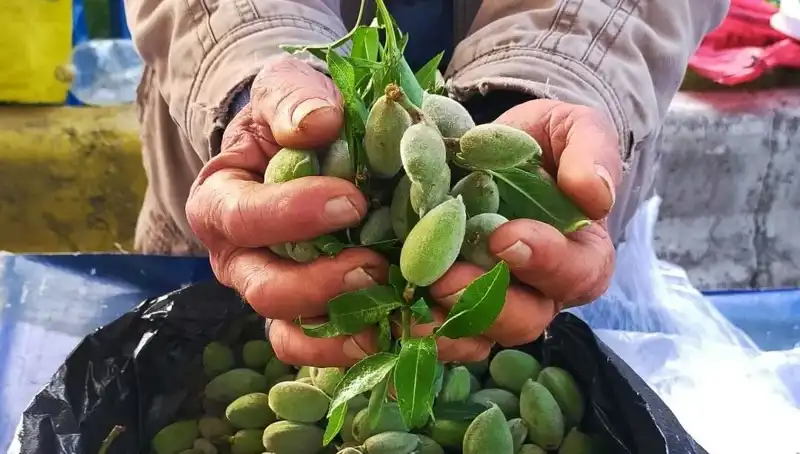 Baharın Gelişi: Pazar Tezgahlarını Süsleyen Fırsatlarla Dolu!