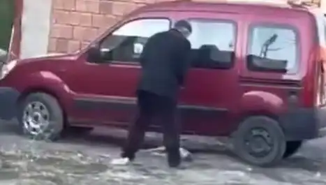 Sokak Ortasında Köpeğe Uygulanan Şiddet İfşası: Hayvanseverler Tepki Gösterdi