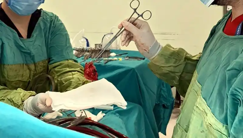 Kalp Kapağındaki Çürüme, 7 Saatlik Ameliyatla Hayata Dönüş Sağladı!